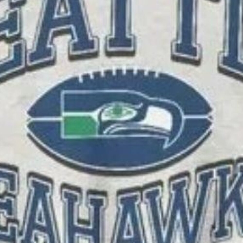 VTG Seattle Seahawks Sweatshirt, Retro Ash Seahawks Sweatshirt, Seattle Tee - Picture 3 of 4
